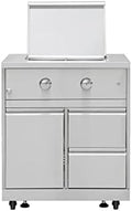 CT Copper Tailor Outdoor Propane Gas Double Side Burner with Dustproof Cover, Cabinet Style, 20000 BTUs, Stainless Steel by CTCopperTailor