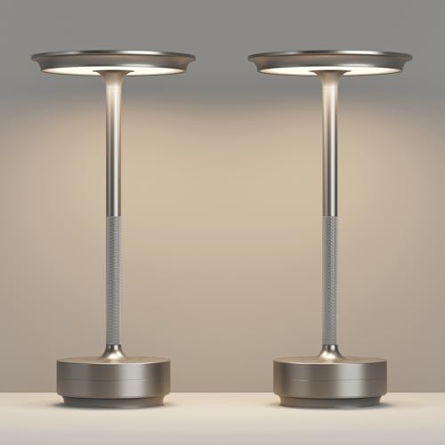 2 Pack Cordless Table Lamps Rechargeable, 5000mAh LED Table Light by FDIDC
