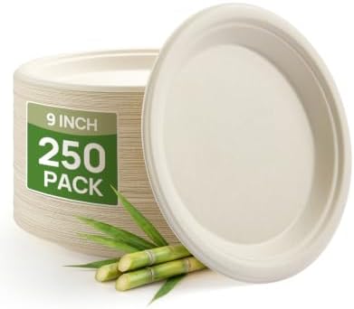 Goodluck 9 Inch Natural Compostable Sugarcane Paper Plates 250 Pack by GoodLuck