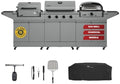 Tytus 3-in-1 Gas Grill, Charcoal Grill, Pizza Oven, Cover, Light, Pizza Kit by TYTUS