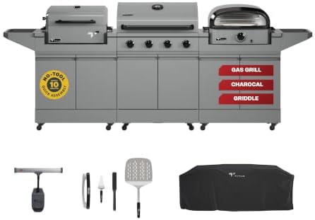 Tytus 3-in-1 Gas Grill, Charcoal Grill, Pizza Oven, Cover, Light, Pizza Kit by TYTUS
