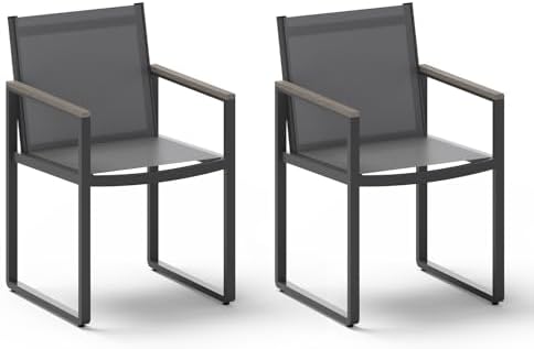 Outdoor Dining Chairs Set of 2, Aluminum Patio Dining Chairs by Oasbira