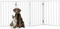 Pet Gate - 4-Panel Indoor Foldable Dog Fence for Stairs, Hallways or Doorways - 72x24-Inch Retractable Wood Freestanding Dog Gates by PETMAKER (White) by PETMAKER