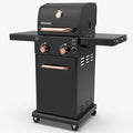 Permasteel 2-Burner Propane Gas Grill, BBQ Grill with Foldable Side Tables & Tool Hooks, Perfect for Outdoor Cooking, Patio & Garden, Black/Copper by Unknown