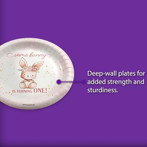 Some Bunny is Turning One First Birthday - 32 Piece Disposable Party Supplies - Decorations for Rabbit 1st Birthday Round Party Plates - Large 9" Paper Plates In Bulk - Image 3