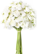 Waipfaru Ranunculus Artificial Flowers, 36Pcs 14In Fake Peonies Artificial Flowers, White Faux Flower for Vase Silk Flower Real Touch Faux Peony Bulk for DIY Wedding Bouquet Home Bridal Shower Decor by Waipfaru