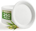 Goodluck 9 Inch White Compostable Sugarcane Paper Plates 250 Pack by GoodLuck