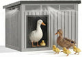 Chicken Coop with Hydraulic Air Rod, Resin Duck Coop with Elevated Floor and Air Vents, Duck House, Backyard Poultry Pet Shelter with Weatherproof Openable Roof, for Chicken, Ducks, Rabbits, Grey by KFY