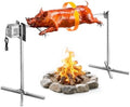 VEVOR Rotisserie Grill, 52" N Electric Rotisserie Grill Kit by VEVOR