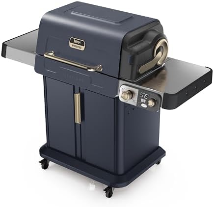 Ninja FlexFlame Grill & Smoker, Electric & Propane, 5-in-1, Blue, PG301BL by Unknown