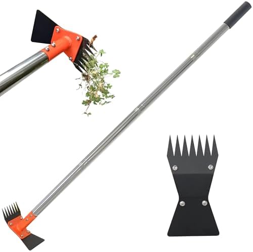 2-in-1 Garden Hoe and Weed Puller Rake 61 Inch Spring Steel Head Adjustable Long Handle Weeding Tool Heavy Duty Sand Texture Finish, Weed Remover for Garden, Yard, Lawn, Driveway by CKLT