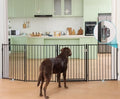 No Pawblems Freestanding Dog Gate with Door for Indoor & Outdoor, 30'' Tall by NoPawblems