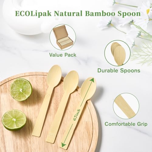 ECOLipak 300 Count Disposable Compostable Bamboo Spoons for Party, Dinner - Image 2