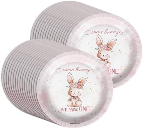 Some Bunny is Turning One First Birthday - 32 Piece Disposable Party Supplies - Decorations for Rabbit 1st Birthday Round Party Plates - Large 9" Paper Plates In Bulk - Image 5