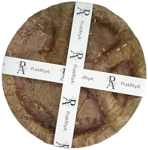 Siali Leaf Disposable Party Plates | Eco-Friendly Bio-Degradable Compostable Natural Plates | Theme Party, Wedding, Dinner (Brown, 12 Inche) - Image 2