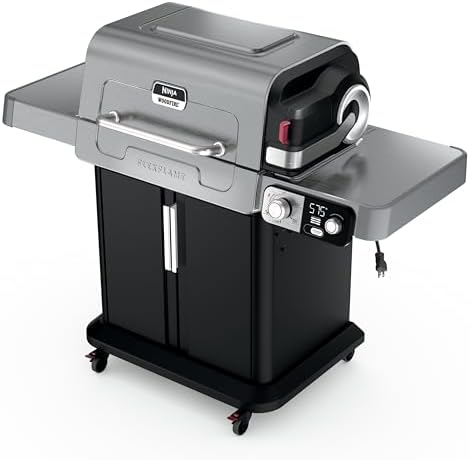 Ninja FlexFlame Grill & Smoker, Electric & Propane, 5-in-1, Steel,PG301 by Unknown