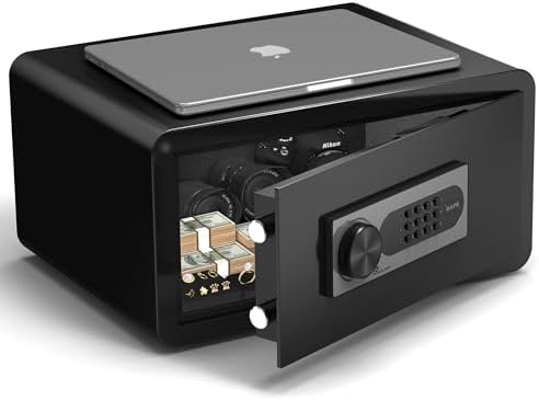 DAYI Safe Box, 1.2 Cu. Ft. Home Safes with Fireproof Bag for Laptop & Docs by DAYISAFE