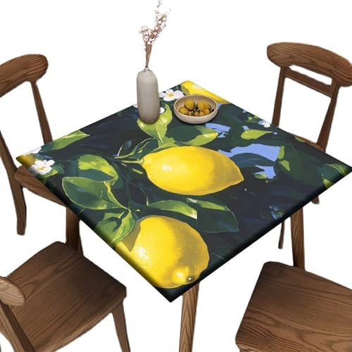 Tablecloth Wipeable, Lemon Grove Pattern Printed on Fade Resistant Fitted Table Cover, Perfect for Breakfasts Tea Gatherings, Fit for 32" x 32" Square Tables by JRBSZMI2