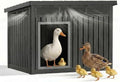 Duck Coop with Hydraulic Air Rod, Resin Duck House, Black by KFY