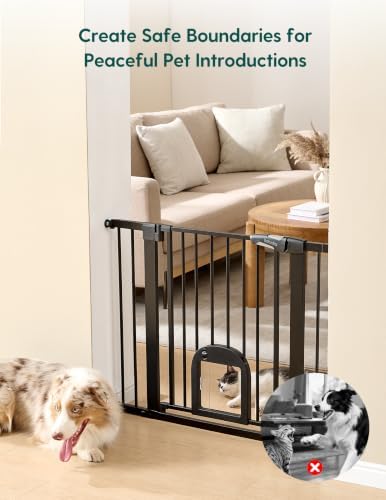 Babelio 36" Tall Pet Gate with Cat Door, CatPrivilege III, 29-43" - Image 3
