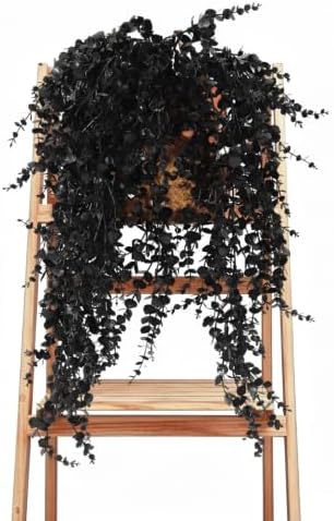 RECUTMS Black Artificial Hanging Gothic Plant 31.5" Fake Fall Greenery Vine by RECUTMS