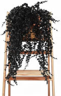 RECUTMS Black Artificial Hanging Gothic Plant 31.5" Fake Fall Greenery Vine by RECUTMS