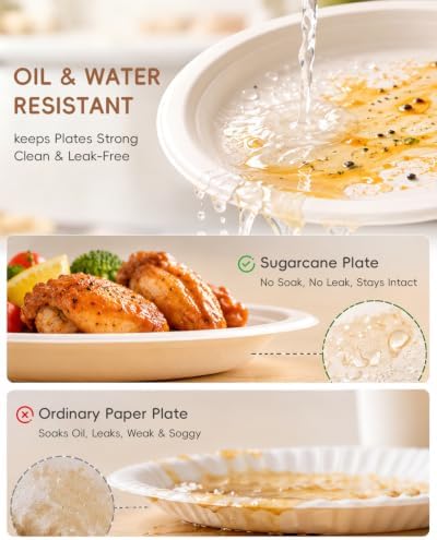 Goodluck 9 Inch White Compostable Sugarcane Paper Plates 400 Pack - Image 5