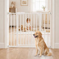 DUMOS 30-40.5" Baby Gate for Stairs & Doorways, Auto Close, White by DumosLifestyle