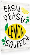 BEASTZHENG Lemon Metal Tin Sign Wall Art Decor Easy Peasy Lemon Squeezy Square Metal Desk Decoration Summer Tin Block Tiered Tray Sign for Shelf Home by BEASTZHENG