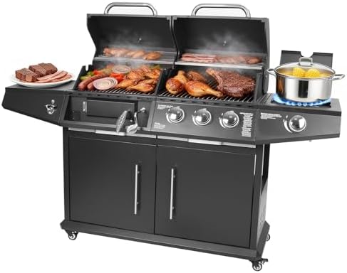 Redlife Gas & Charcoal Combo Grill with Side Burner by Redlife
