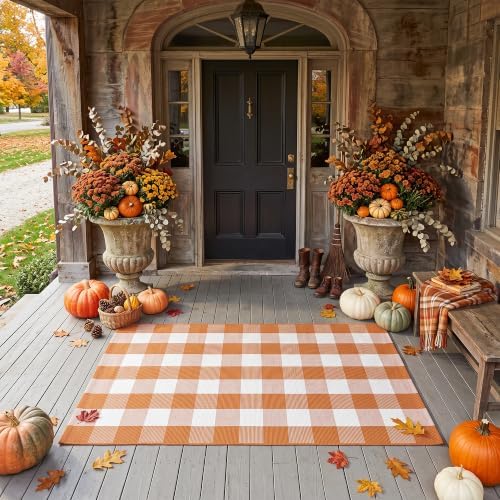 Caramel Buffalo Plaid Rug 28 x 43 for Front Porch Entryway - Image 6
