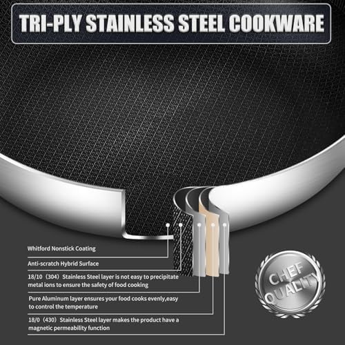 DELARLO 10 Inch Tri-Ply Stainless Steel Paella Pan with Lid, Nonstick Hybrid Frying Pan for Induction, Stainless Steel Frying Pan for Seafood, Rice, Indoor & Outdoor Cooking, Serves 4-6 People - Image 2