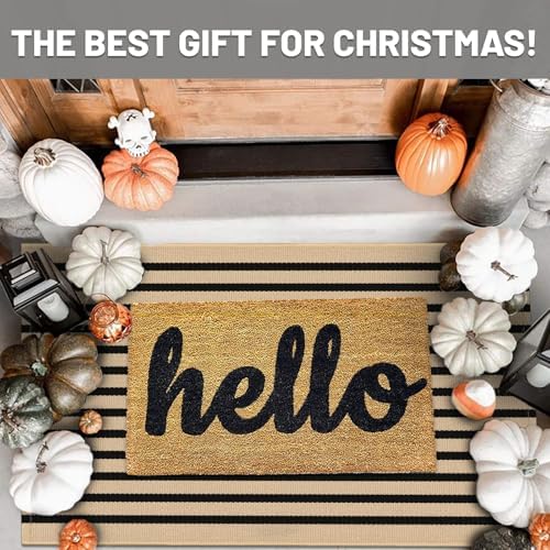 IOHOUZE 2.3x3.6 Striped Outdoor Door Mat, Washable Porch Rug, Tan Black - Image 2