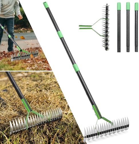 Thatch Rake, 13" Wide Efficient Dethatcher Rake with 55" Adjustable Long Handle, Heavy Duty Steel Metal Dethatching Rakes for Cleaning Dead Grass, Loosening Soil, Lawn Care in Yard Garden by Unknown