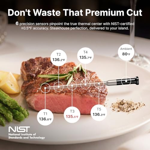 Typhur Sync Gold Dual Wireless WiFi Meat Thermometer with Carrying Case - Image 2