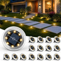 SOLPEX 16 Pack Small Solar Ground Lights, Pathway Lights Warm White by Solpex