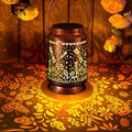 Solar Lanterns Outdoor Waterproof Gifts for Women Grandma Gifts by HOFLYW