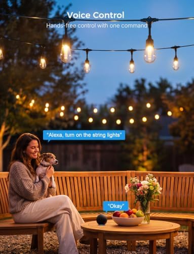 XMCOSY+ Smart Outdoor String Lights 98FT, LED Patio Lights with App Control - Image 5