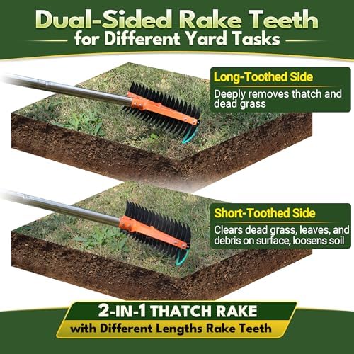 62.5 Inch Thatch Rake for Lawns 18 Sharp Tempered Spring Steel Tines - Image 3