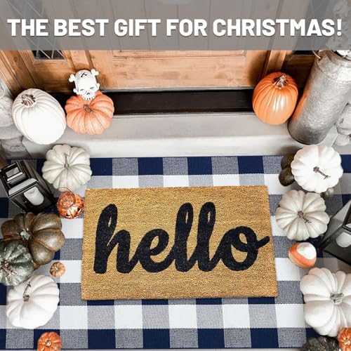IOHOUZE 3x5 Buffalo Plaid Outdoor Rug, Washable Front Porch, Navy White - Image 3
