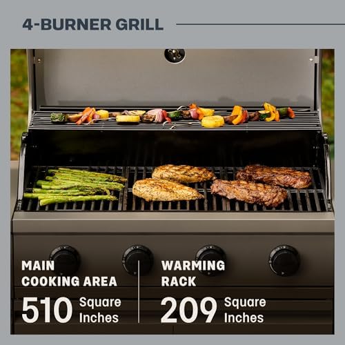 Tytus 3-in-1 Gas Grill, Charcoal Grill, Pizza Oven, Cover, Light, Pizza Kit - Image 4