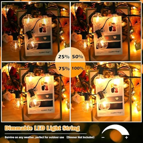 Brightever 120ft Outdoor G40 LED Globe String Lights Dimmable Waterproof Shatterproof Light Strings with 60+2 Bulbs Connectable Commercial Hanging Lights for Patio House Backyard Balcony - Image 5