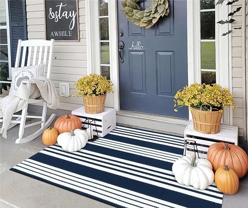 OJIA Blue & White Outdoor Rug 3'x5' Front Porch Rug Outdoor Mat Patio Decor by OJIA