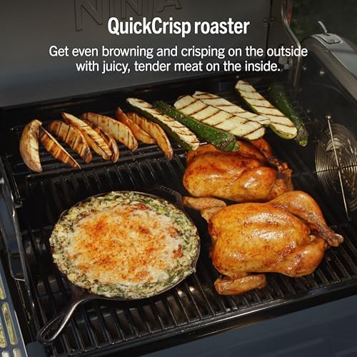 Ninja FlexFlame Grill & Smoker, Electric & Propane, 5-in-1, Blue, PG301BL - Image 6