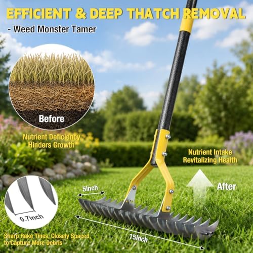 Thatch Rakes , 15-Inch Wide Thatching Rake for Cleaning Dead Grass, 70-Inch Efficient Steel Dethatcher Rake with Adjustable Metal Handle, Thatch Rakes for Lawns, Garden, Yard - Image 3