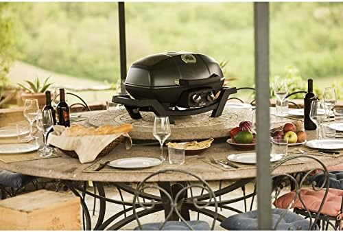 Napoleon TravelQ PRO285 Portable Natural Gas Grill, Black, 2 Burners, Tailgating, Camping, and Small Outdoor Spaces - Image 5