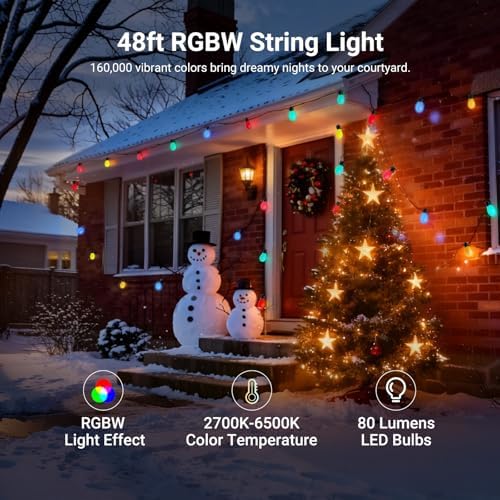 NEEWER 48ft Outdoor String Lights, App Control Smart AI RGBW Hanging, NR01 - Image 2