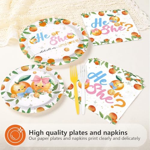 96 Pcs Little Cutie Gender Reveal Party Decorations, Serves 24 - Image 3
