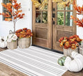 3'x 5'Outdoor Rug,Grey and White Striped Front Porch Mat Indoor Area Rug by BUAGETUP