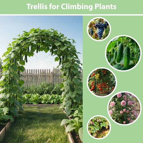 RUBFAC 7.8ft Garden Arch, Metal Trellis for Climbing Plants Outdoor - Image 4